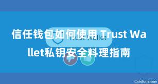 信任钱包如何使用 Trust Wallet私钥安全料理指南